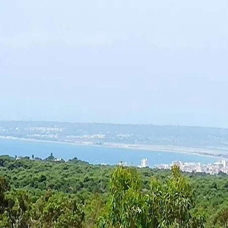 Comfortable With A Private Pool 빌라 그란 알라칸트