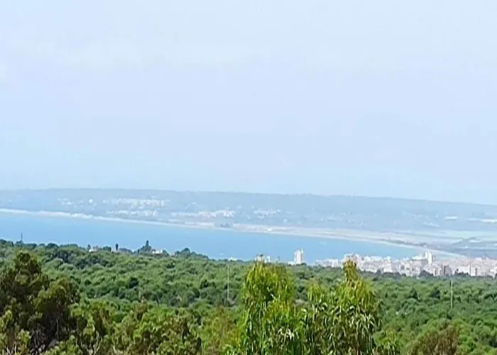 Comfortable With A Private Pool 别墅 格兰阿利坎特